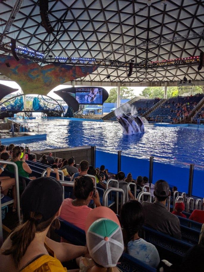 1942A8E5-8FF5-46A1-8BCA-0F50C93A2DF5