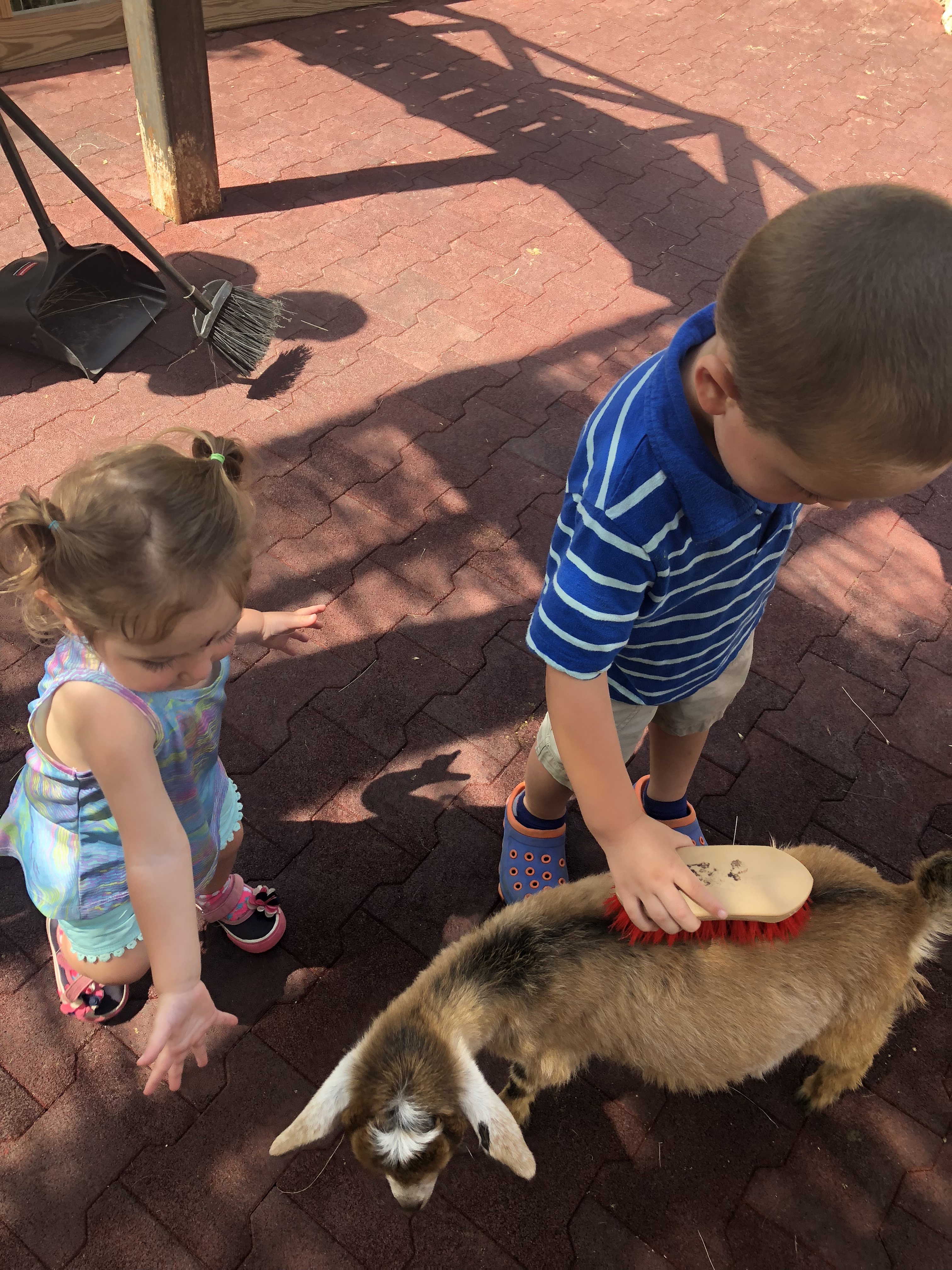 0035DC6F-173D-40D7-BC10-2DF0C988C231.jpeg