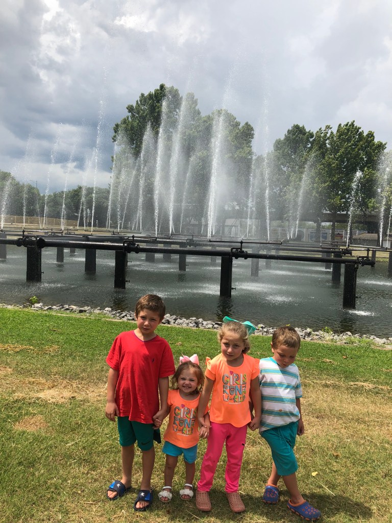 C3550FF2-A5E3-4B05-B62C-2F1FE0773799