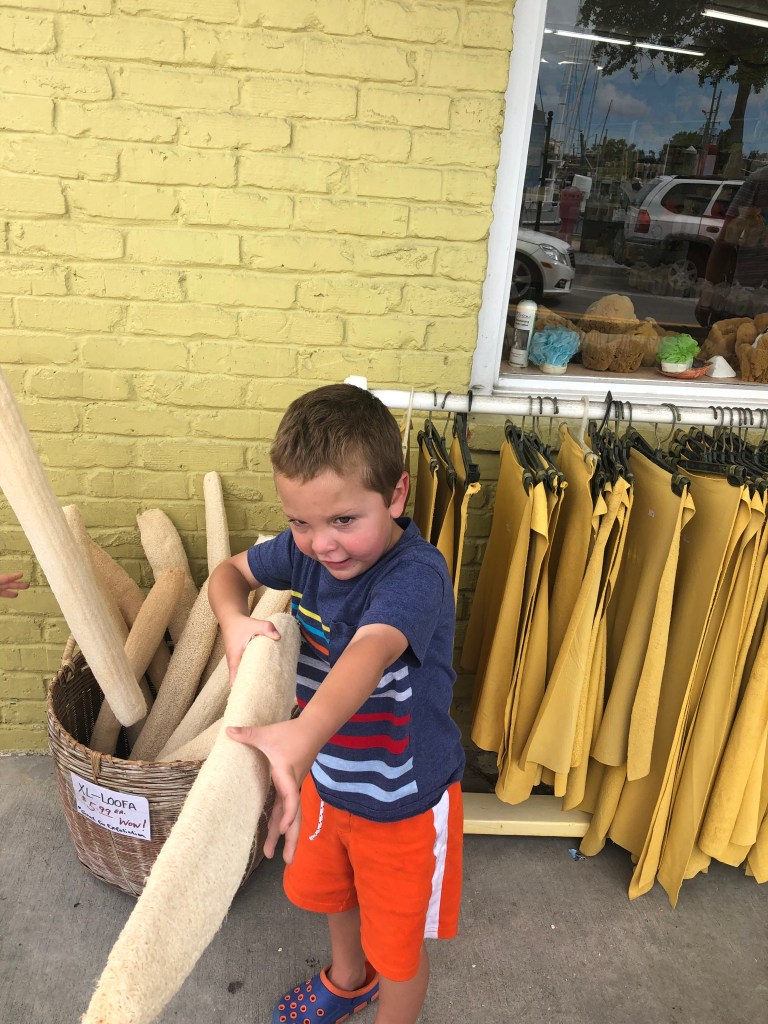 E1471D86-8AD6-4A82-ACDF-87697627AB72