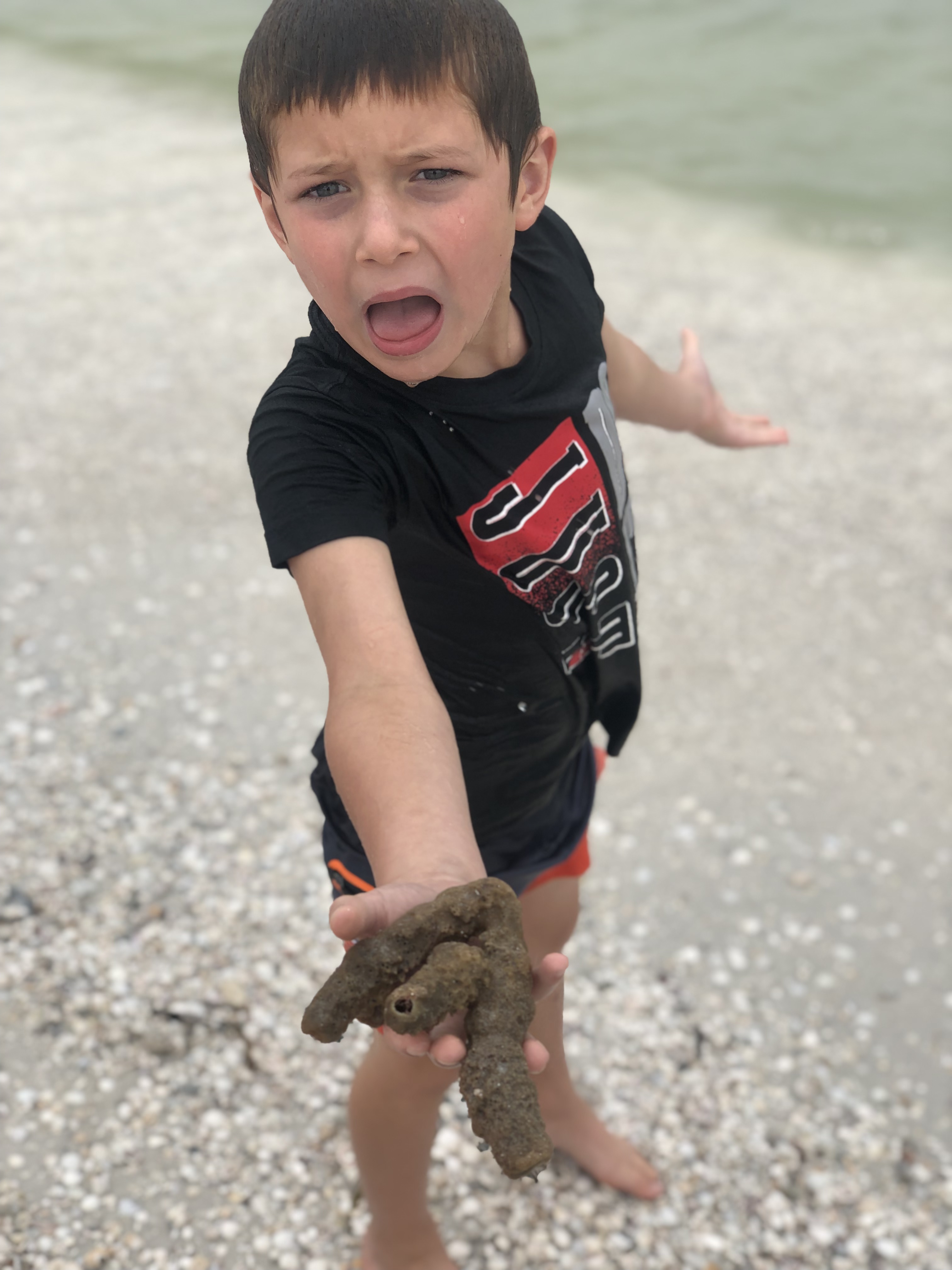 E60466B7-D1C1-4B07-BD4F-6CD254D29F6B