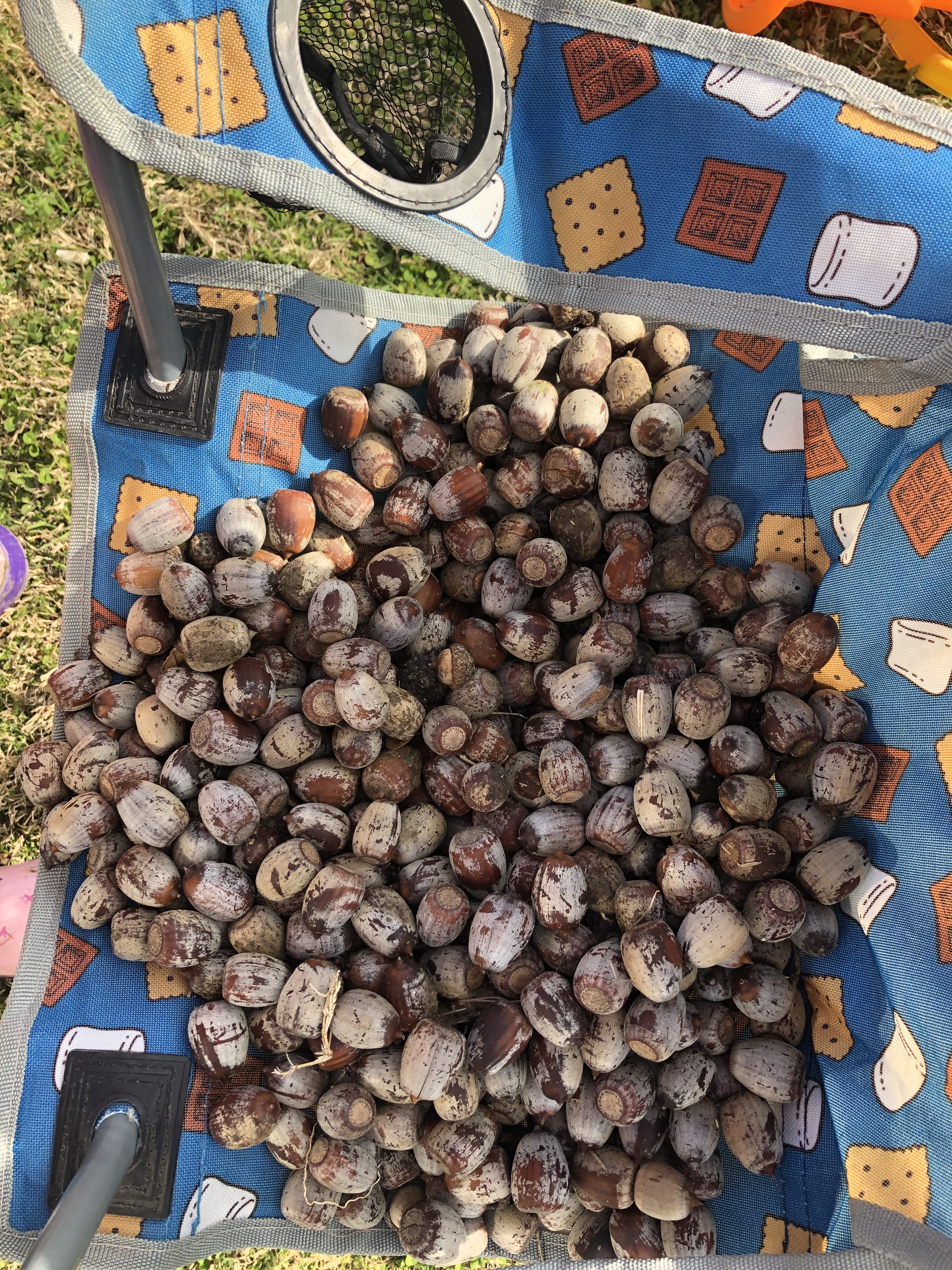 9DD78A6C-1759-4E73-92CE-04704A265181