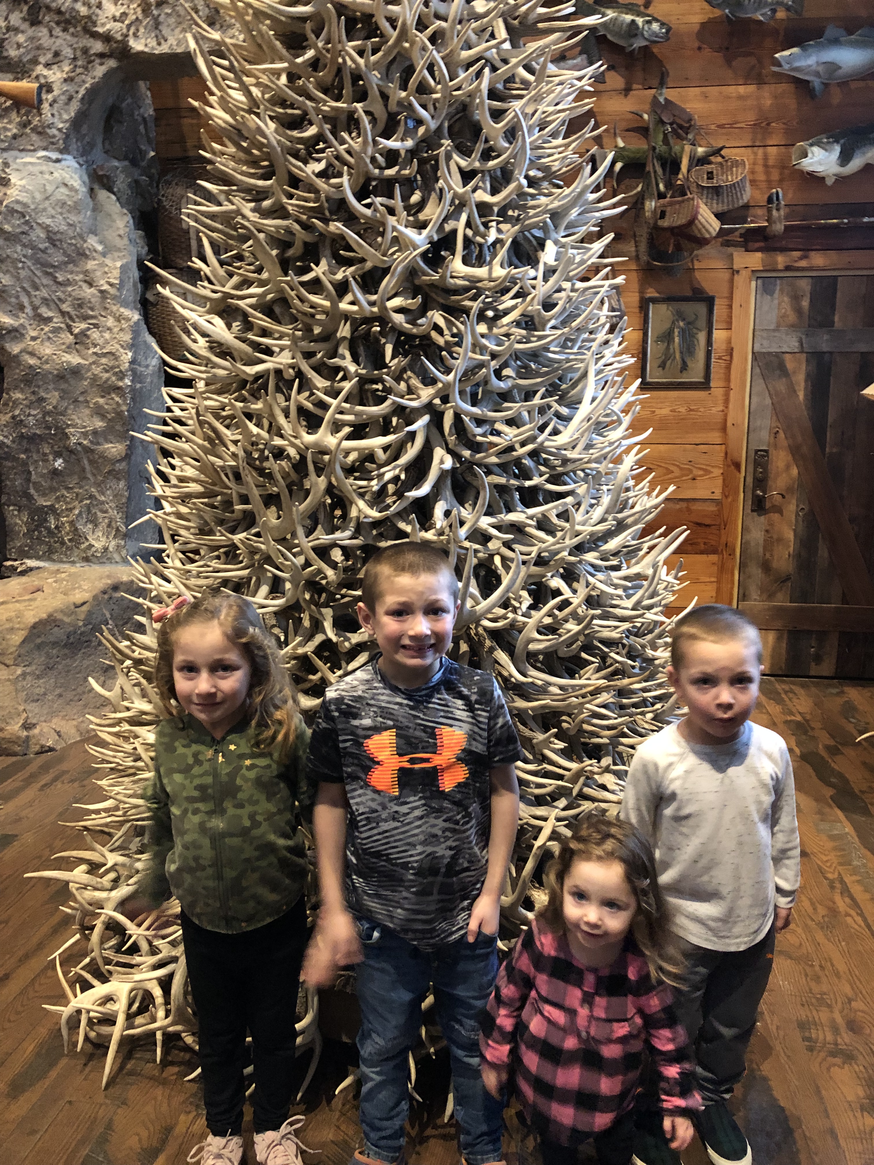 C997E41C-FFE6-430E-B286-57FBDDF60BCB