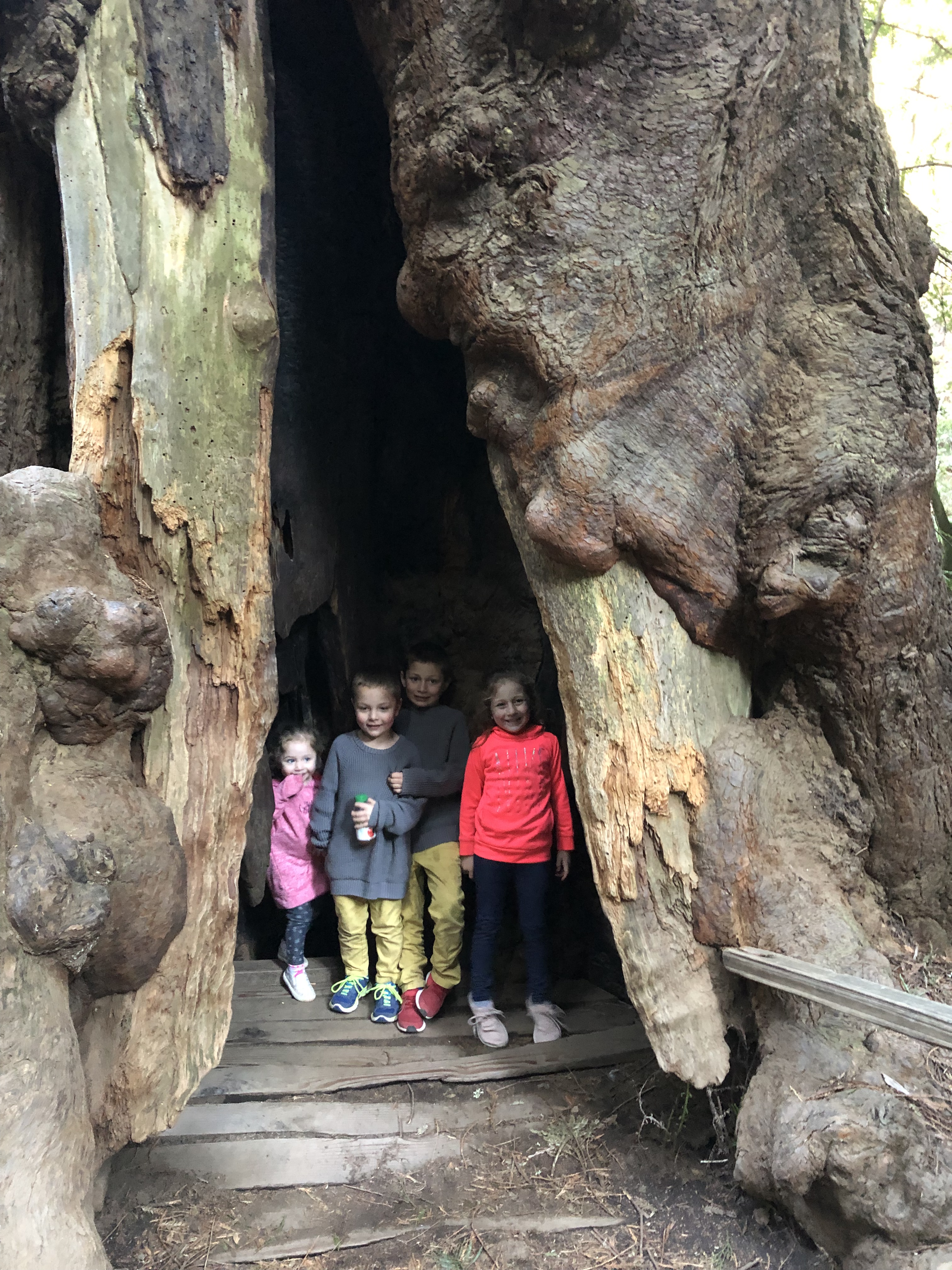 267EF0D8-5D49-4FEB-ACF0-4B747119E009