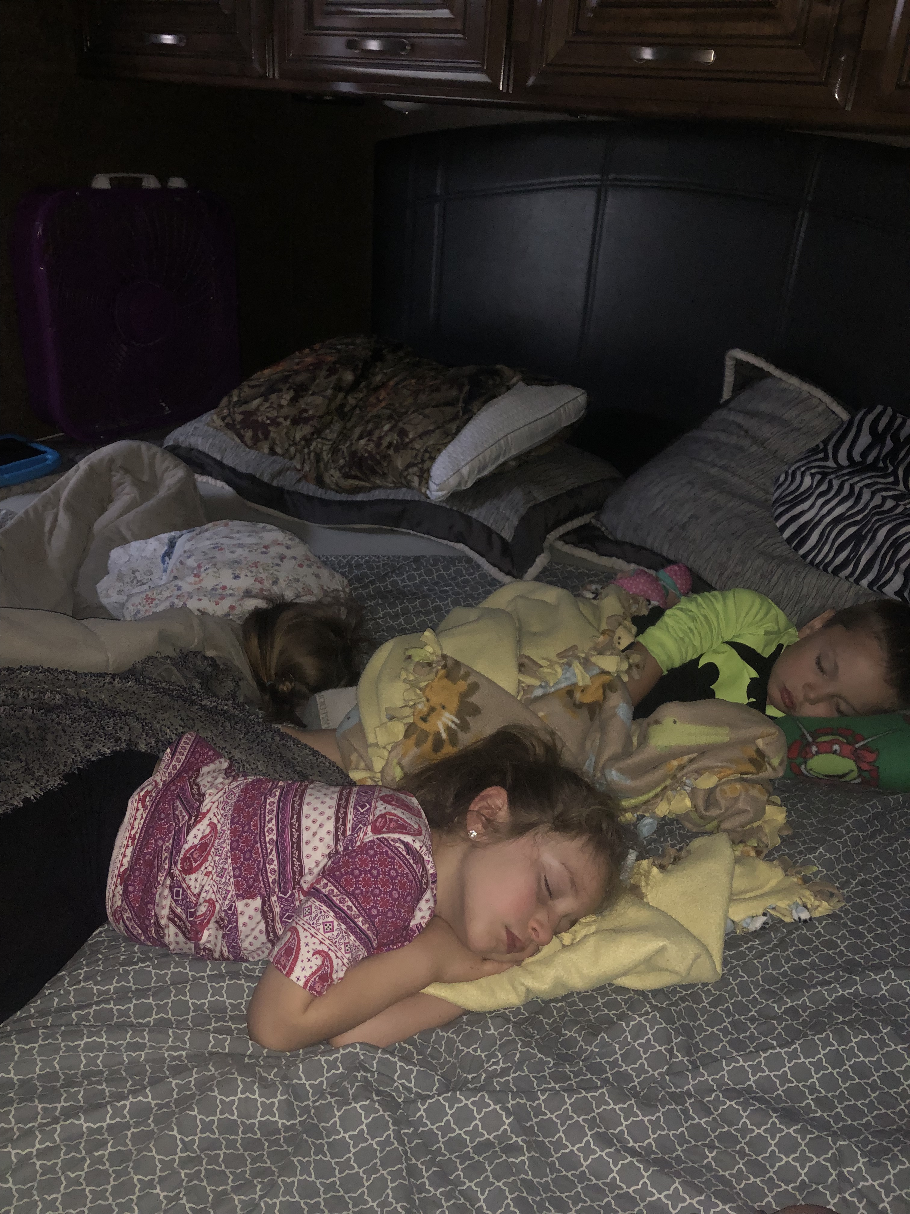 29B1DC5E-B030-4B31-81F3-C765631223B9