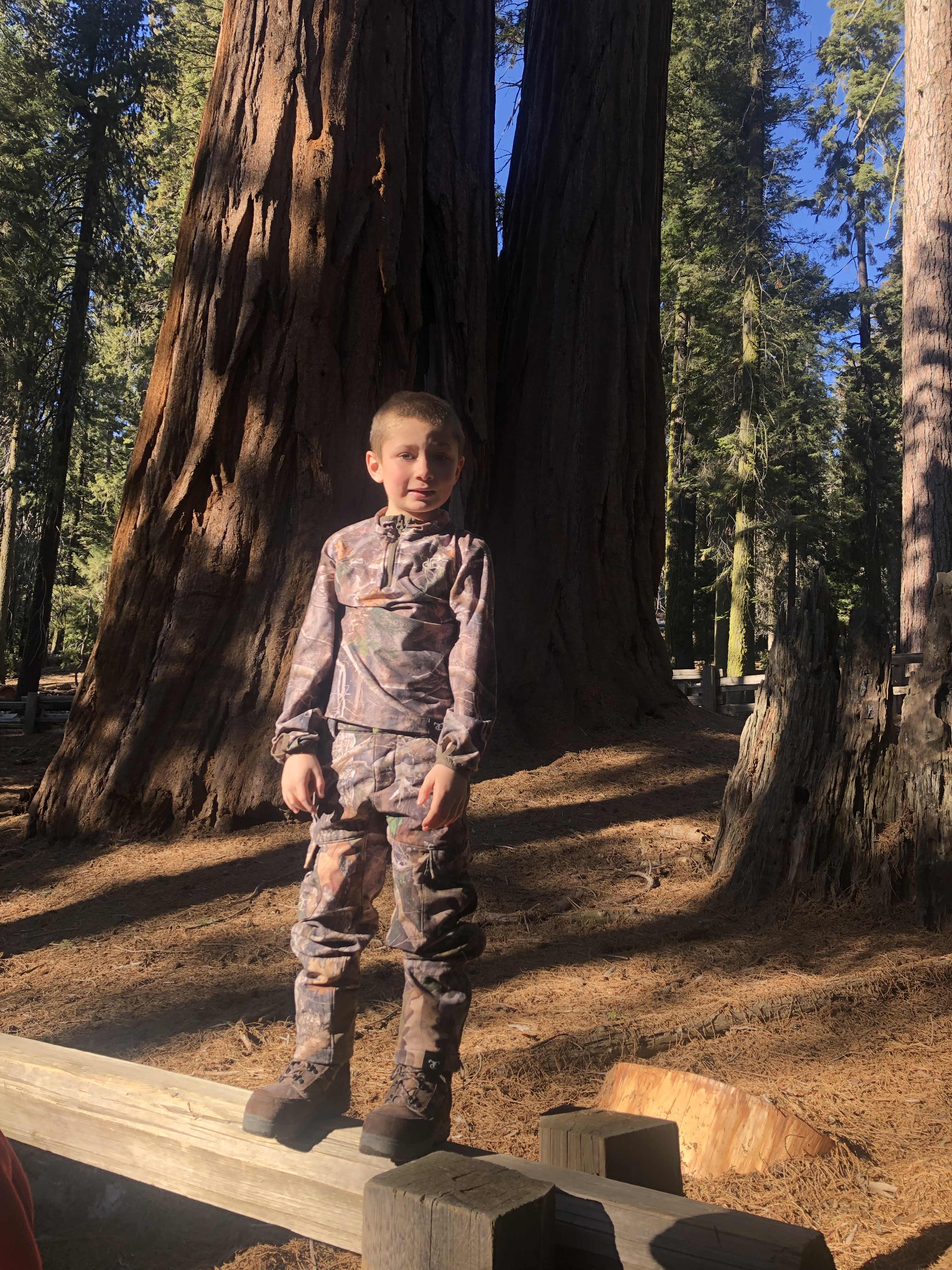 74984446-A72A-4C1B-97DB-BCE9A2271061