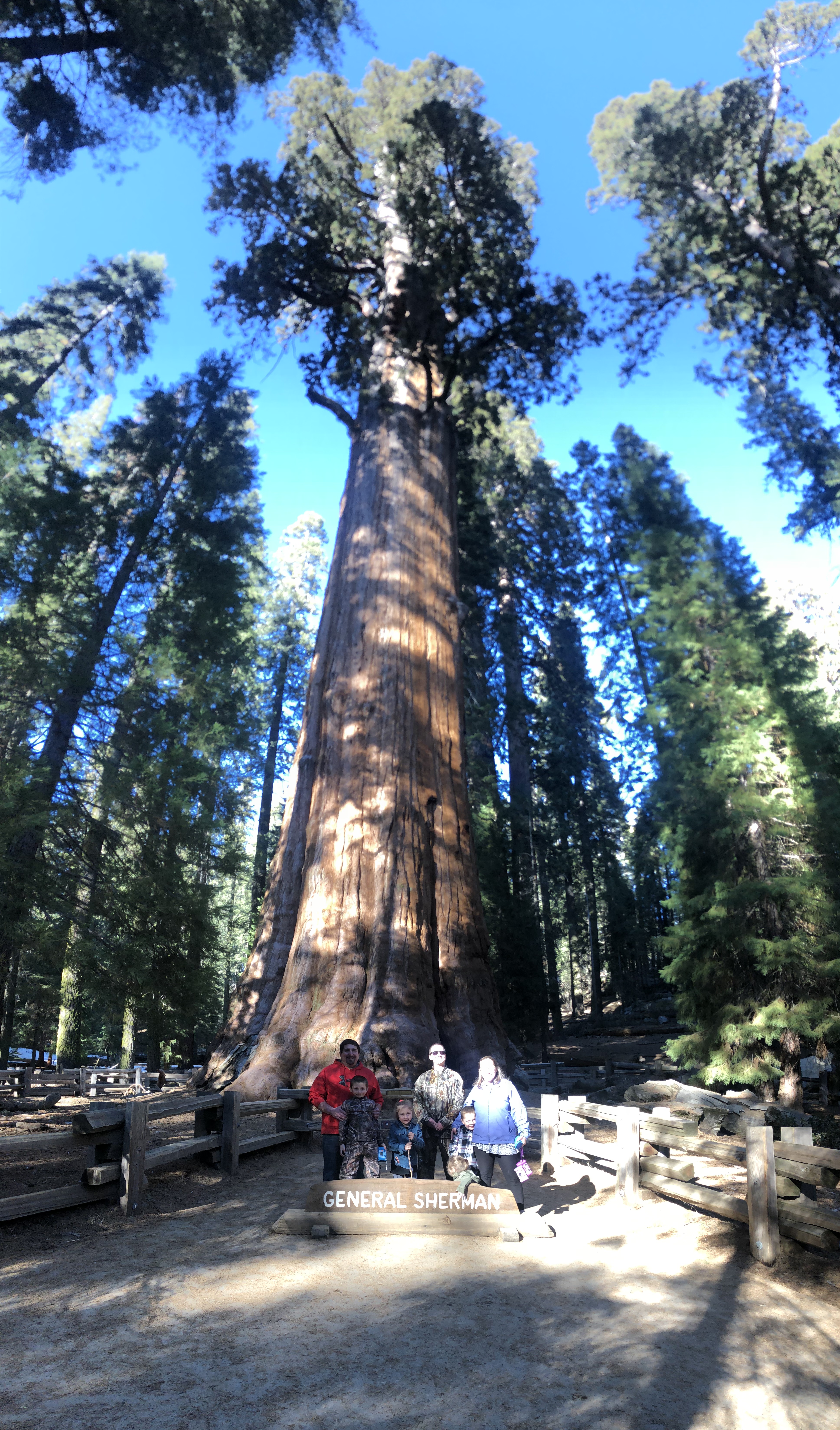 DAF6C503-F84E-48C8-8C6E-7427DF037A4E