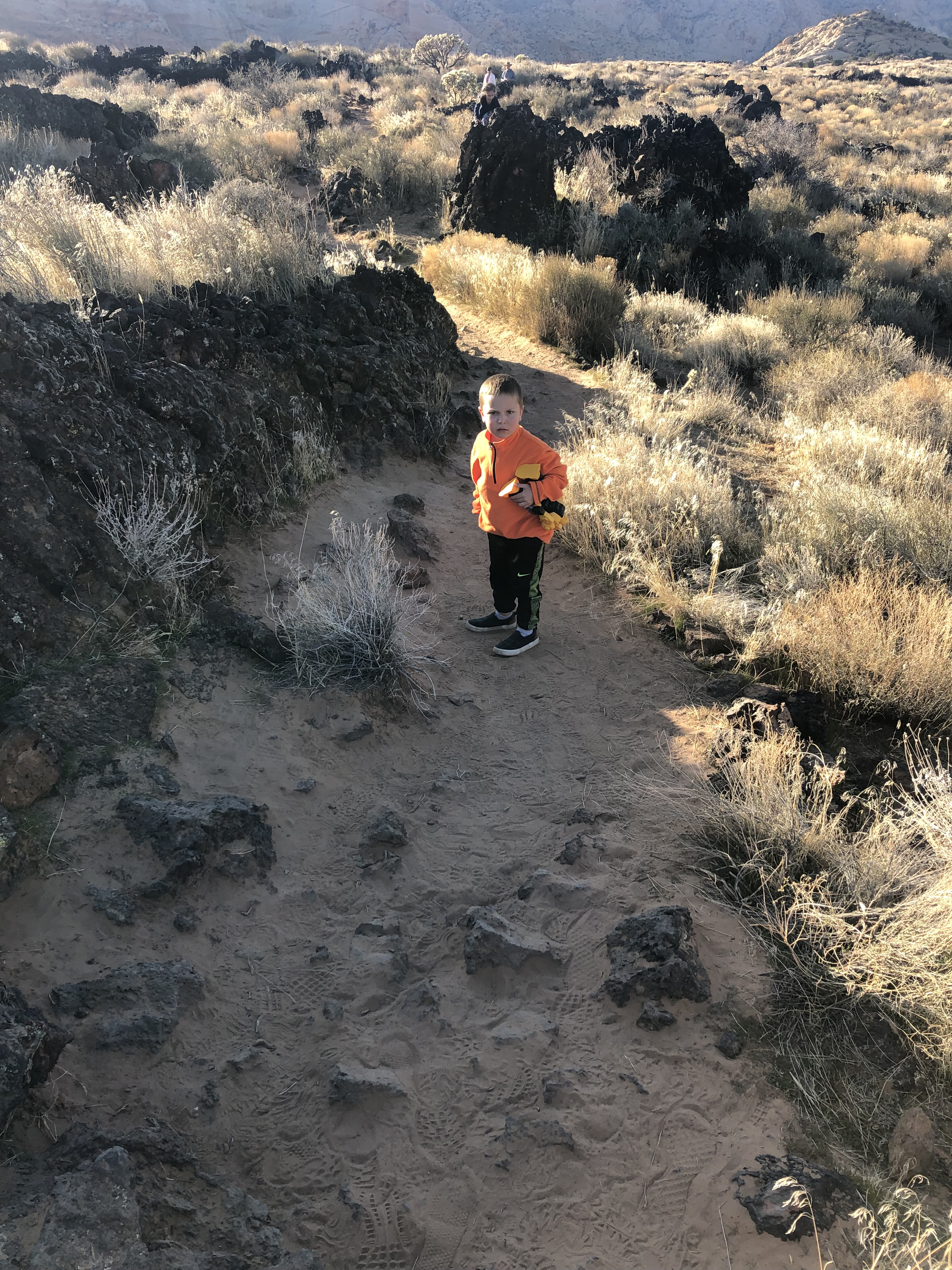 F928FFDE-5FD9-40D0-94C3-B70798B4A247