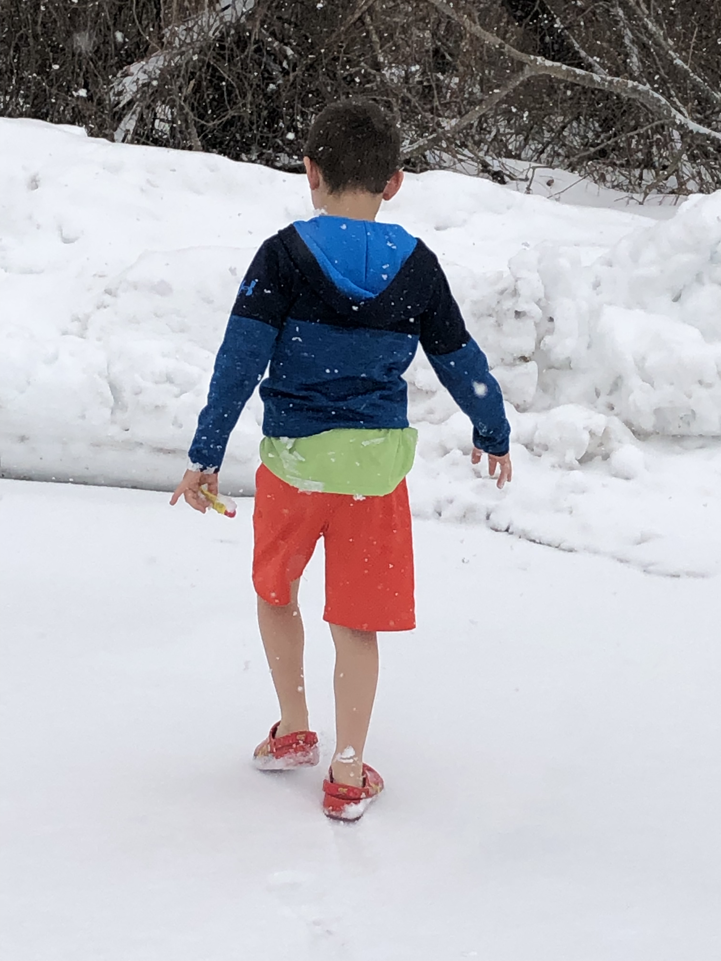 A29B50C0-AEF3-45E2-B907-BDA7554B14FD