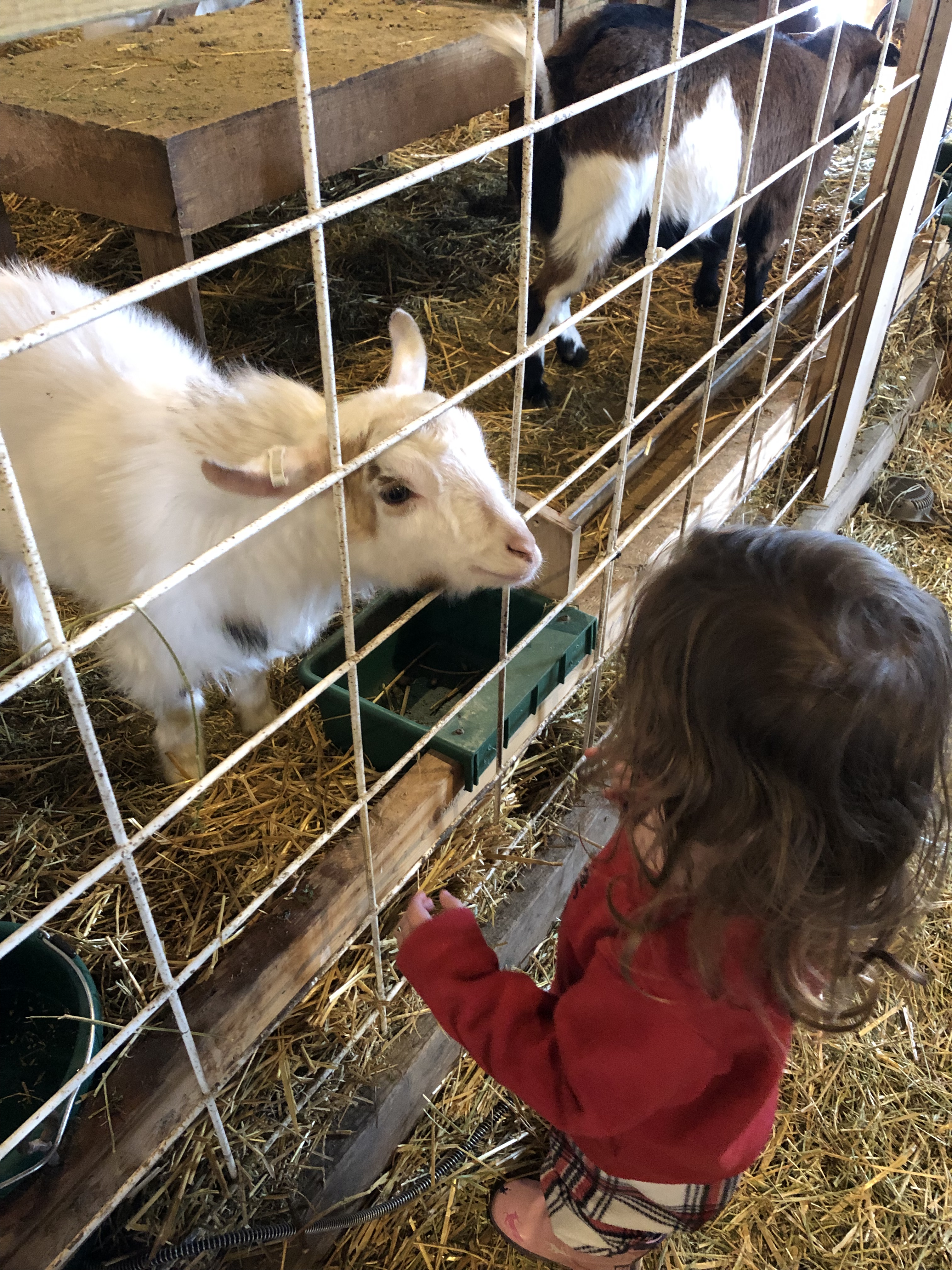 D3C08608-F6FB-4BF9-A2F6-B29397CDE376